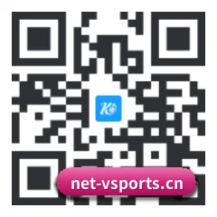 系统版 iOS 二维码